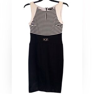NWOT! White House Black Market Elegant Black and White Striped Dress. Size 6